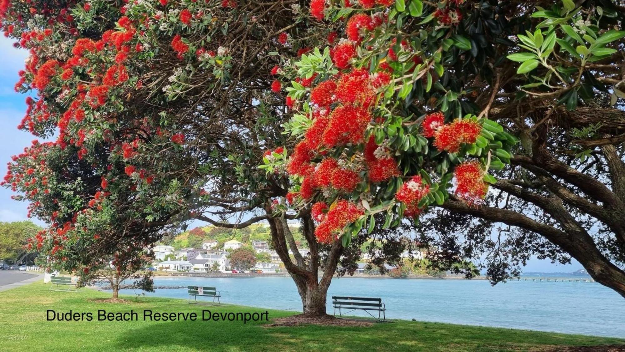 The Partchery Devonport Auckland Bagian luar foto